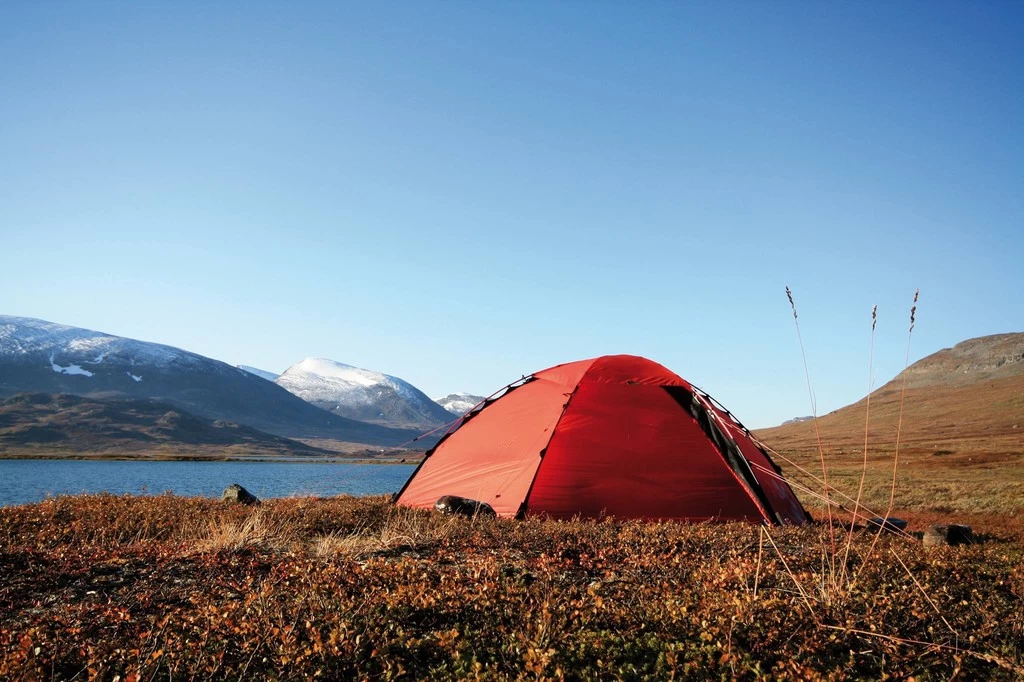 Sardine SwissPiranha RT150 - 15 Cm 4 Sardine SwissPiranha RT150 - 15 Cm – Image 4