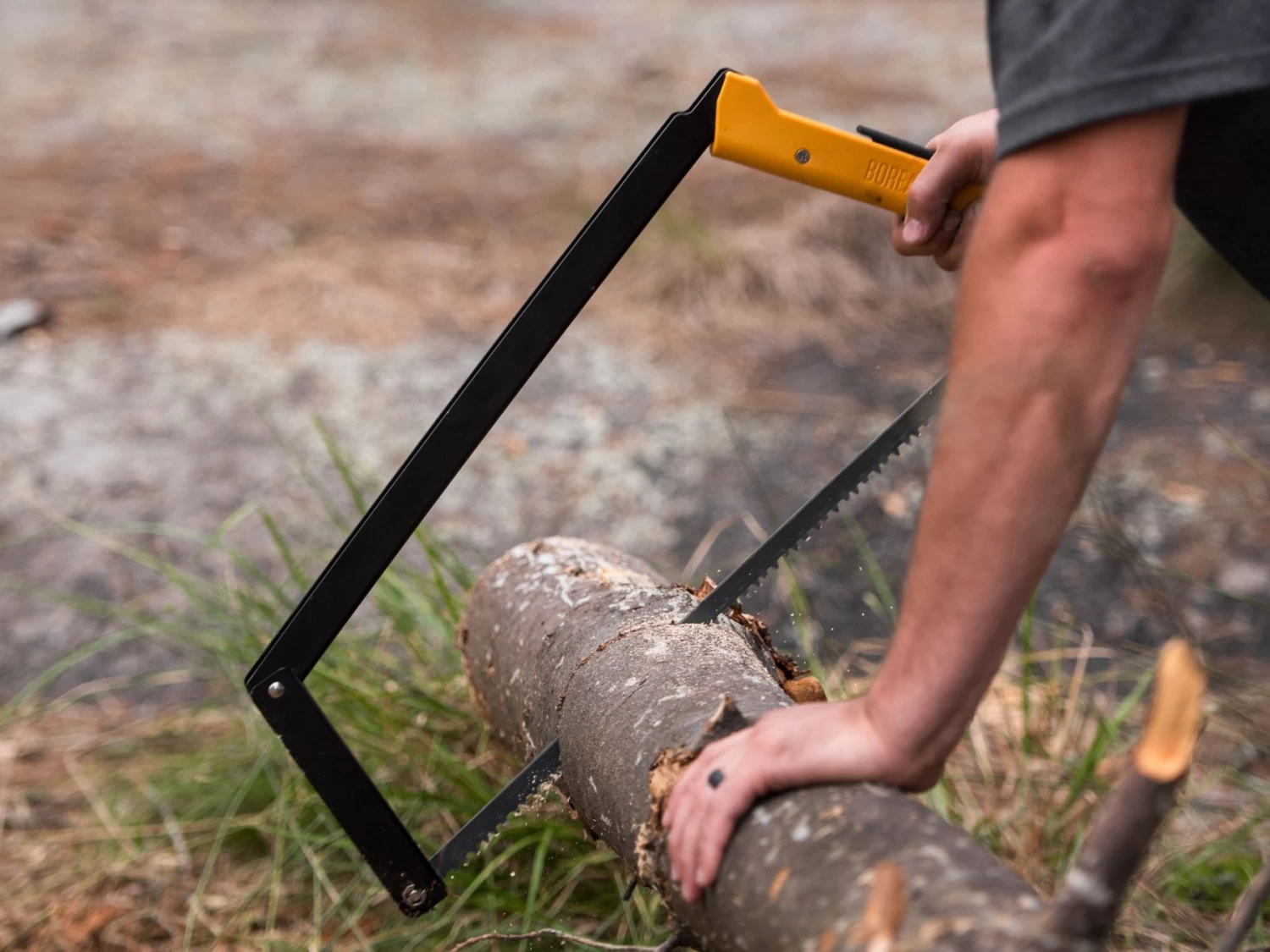 Agawa Canyon Boreal 24 6 Agawa Canyon Boreal 24 – Image 6