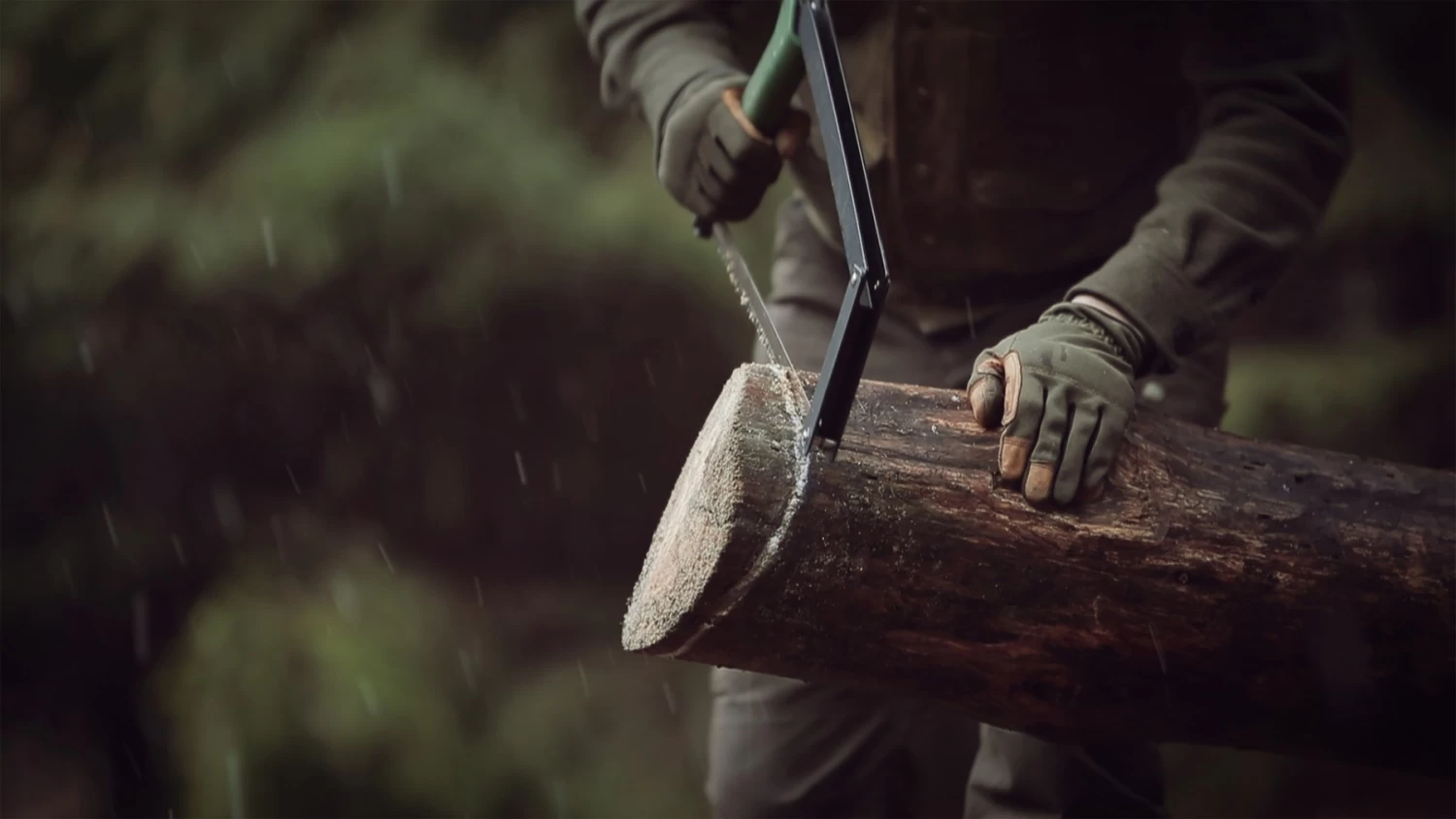 Agawa Canyon Boreal 24 10 Agawa Canyon Boreal 24 – Image 10