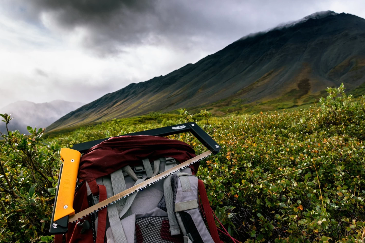 Agawa Canyon Boreal 24 9 Agawa Canyon Boreal 24 – Image 9