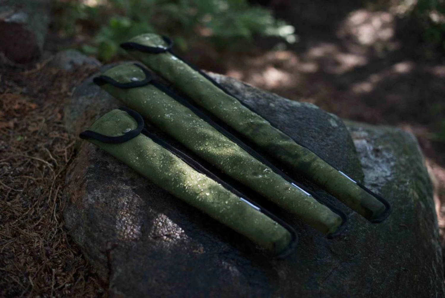 Agawa Canyon Boreal 24 15 Agawa Canyon Boreal 24 – Image 15