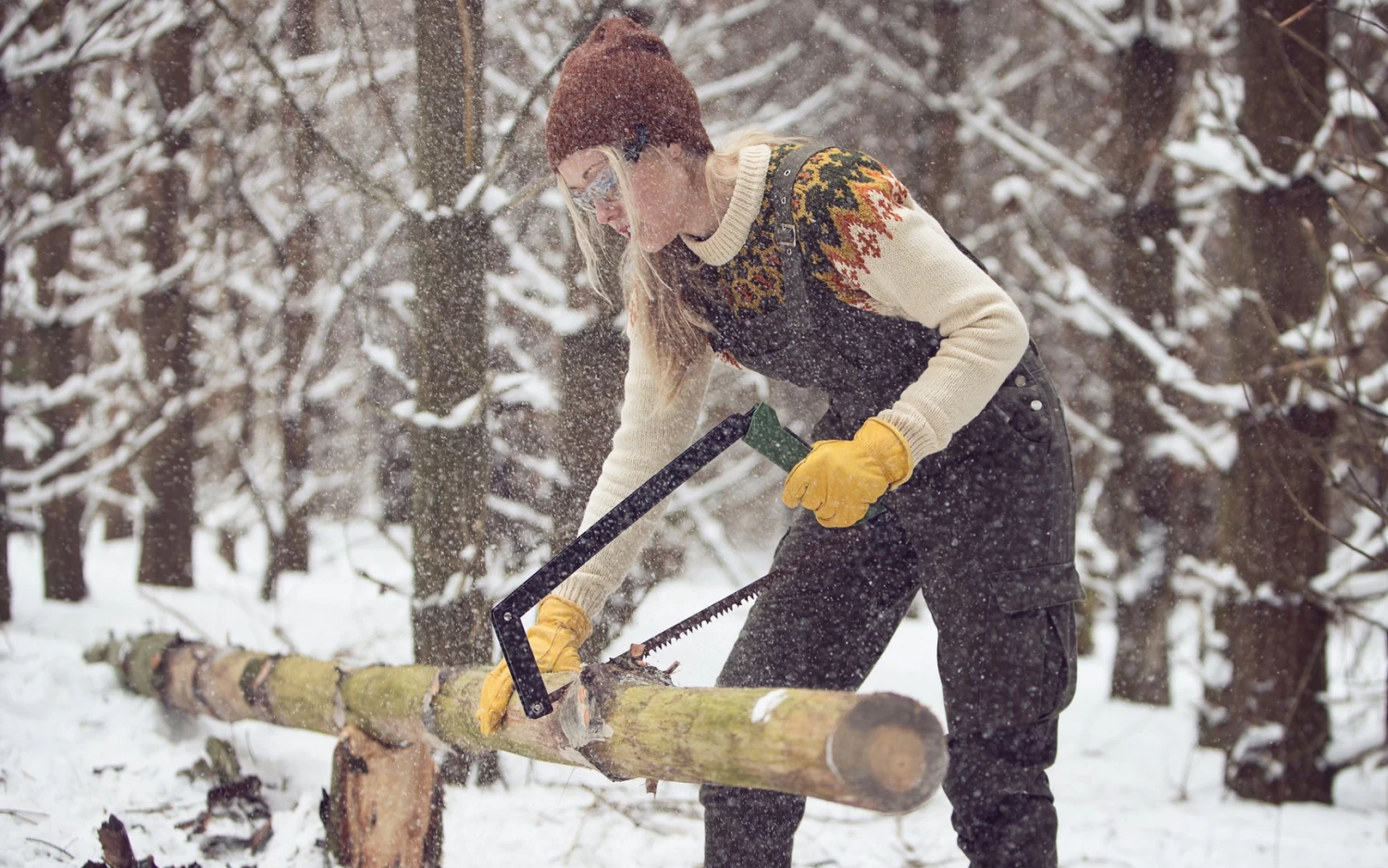 Agawa Canyon Boreal 24 11 Agawa Canyon Boreal 24 – Image 11